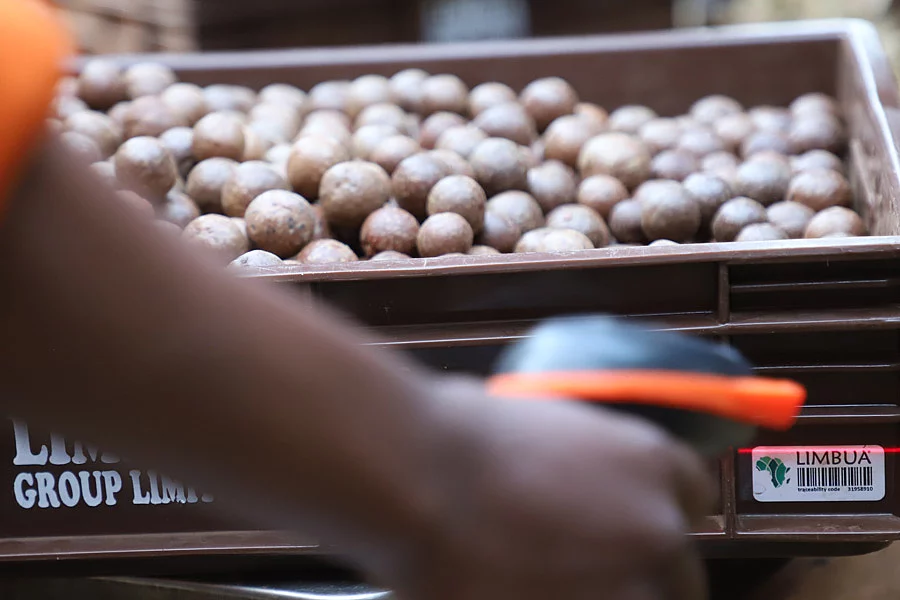 Limbua wurde vor allem für die eigene Softwarelösung zur Rückverfolgbarkeit ausgezeichnet. Eine Box mit Macadamia-Nüssen wird mit einem Handscanner gescannt.