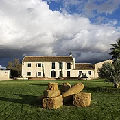 Gebäude der Finca La Torre inmitten der spanischen Landschaft, umgeben von Olivenhainen – Standort des Bio-Olivenöl-Anbaus und der eigenen Ölmühle.
