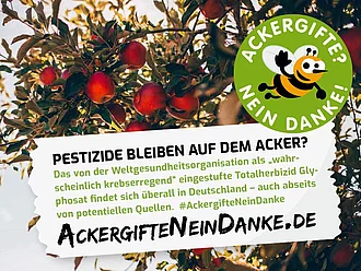 Apfelbaumkrone mit roten Äpfeln. Mit Text: Pestizide bleiben auf dem Acker?