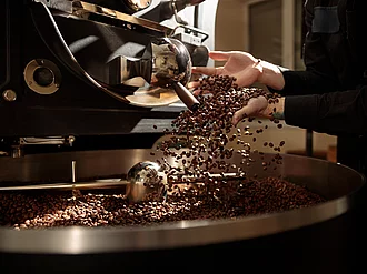 Frisch geröstete Kaffeebohnen fallen aus Hände einer Person aus einer Röstmaschine. 