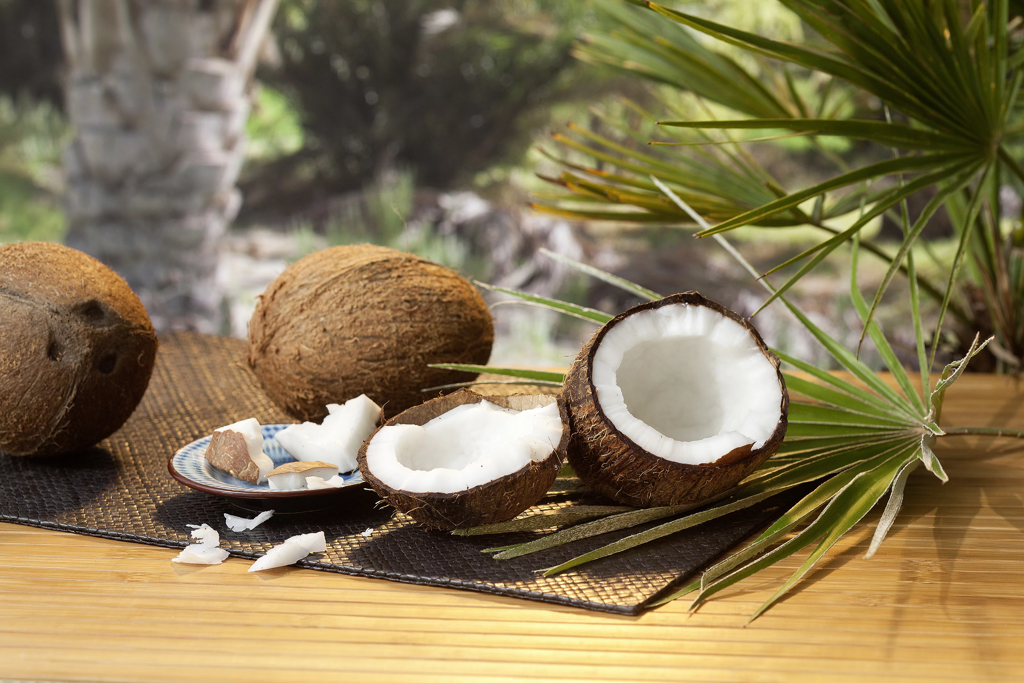 Offene und geschlossene Kokosnuss vor Palmen.