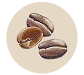 Arabica Rohkaffee