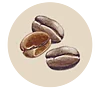 Arabica Rohkaffee
