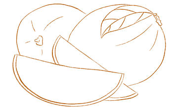 Mangos gehören zu den beliebtesten Tropenfrüchten Gezeichnete Illustration einer Mangofrucht