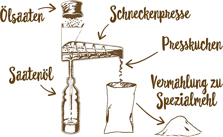 Gezeichnetes Schema zum Herstellungsprozess von Hanf- und Leinmehl, beides wird in der Rapunzel Ölmühle im Allgäu hergestellt.