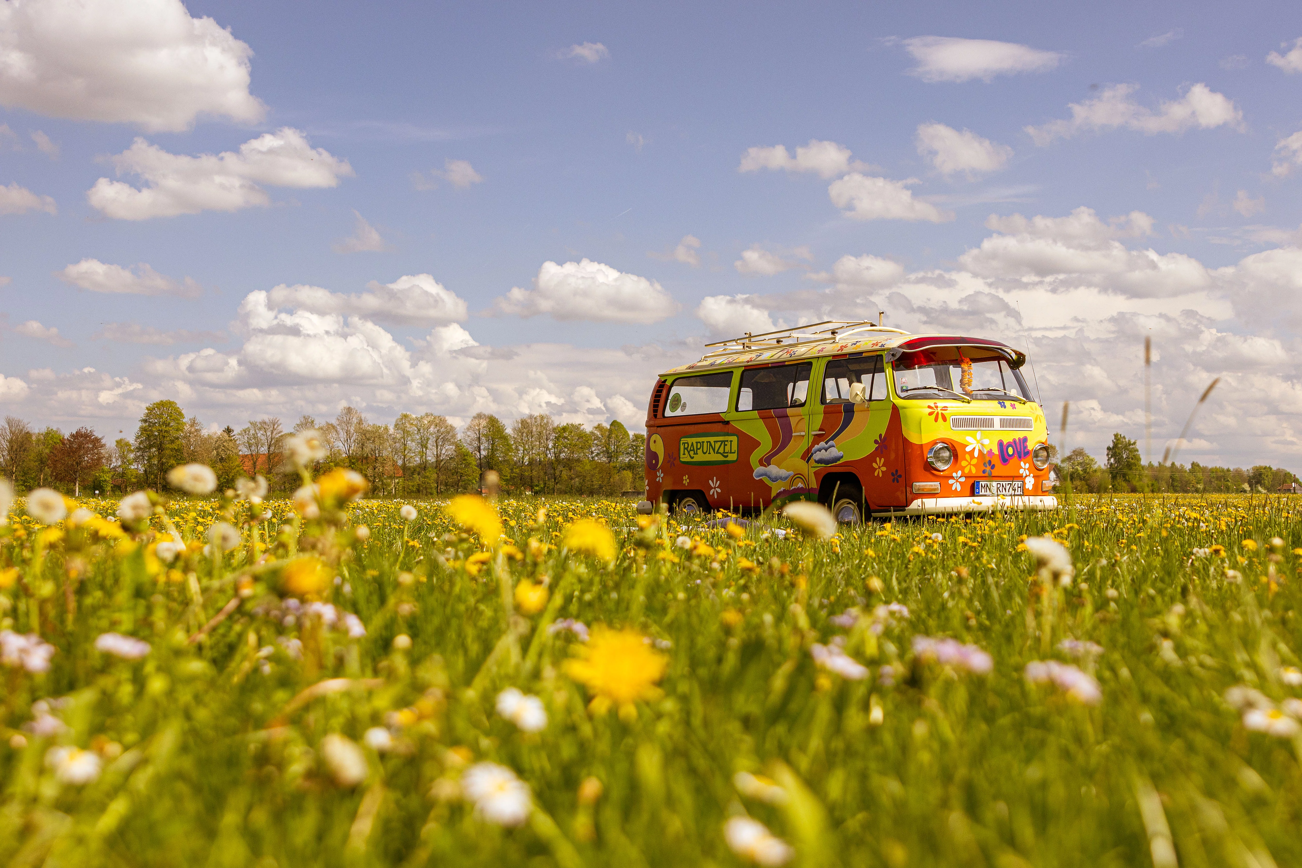 Rapunzel VW Bus auf Löwenzahnwiese