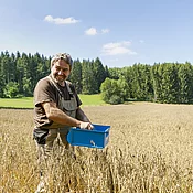 Landwirt im Haferfeld, dahinter Wiesen und Wälder.