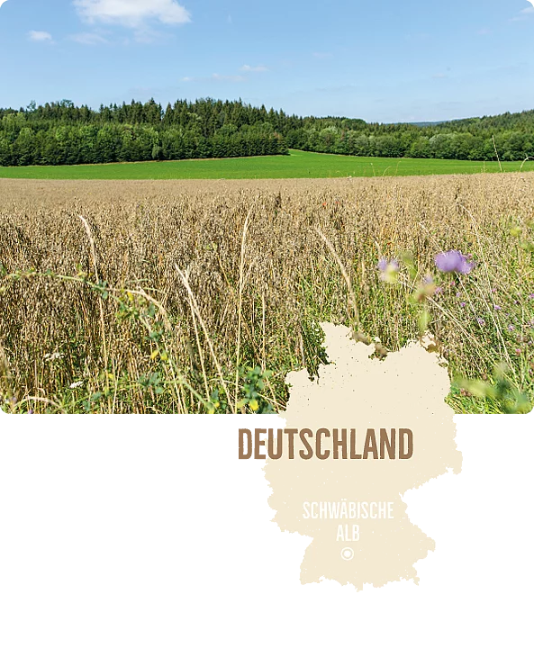 Rapunzel bezieht Hafer von der Schwäbischen Alb. Im Hintergrund Haferfeld vor Wiese und Wald, im Vordergrund Karte von Deutschland mit Marker bei der Schwäbischen Alb.