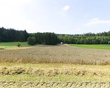 Darstellung der abwechslungsreichen Fruchtfolge des Bodens. 