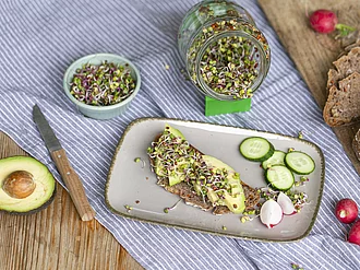 Sprossenbrot mit Radieschensprossen, Avocado und Gurke.