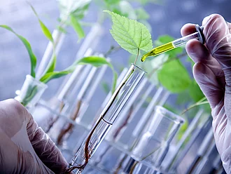 Reagenzglas mit Pipette vor grünen Pflanzen. Szenerie aus einem Forschungslabor