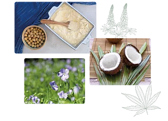 Collage aus drei Fotos, von der Pflanze über das reine Spezialmehl bis zur Verwendung etwa in Backwaren