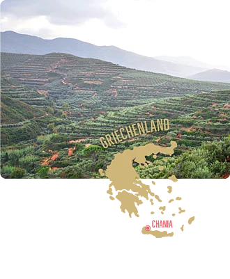 Olivenhaine in Chania – Anbaugebiet für Rapunzel Olivenöl.