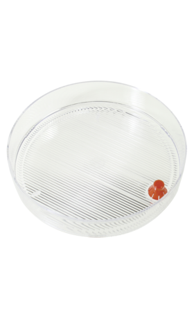 Product - Keimgerät Saatschale, mit Siphon bioSnacky