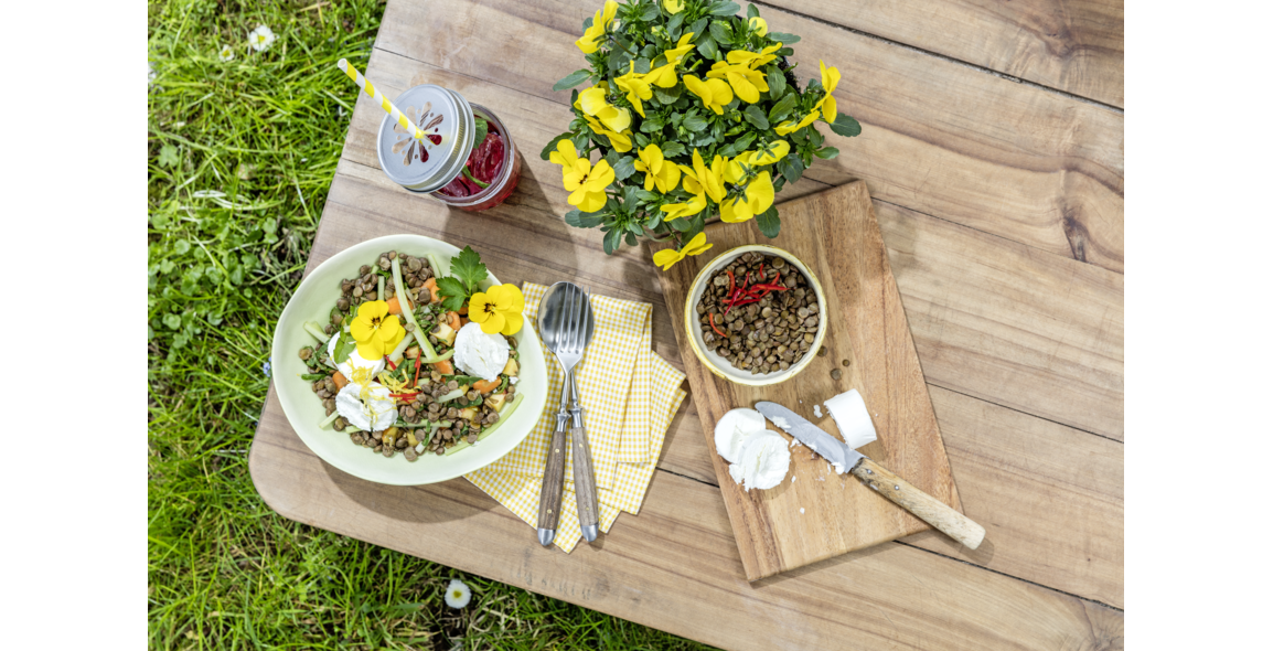 Sommersalat mit Gourmet Berg-Linsen und Ziegenfrischkäse