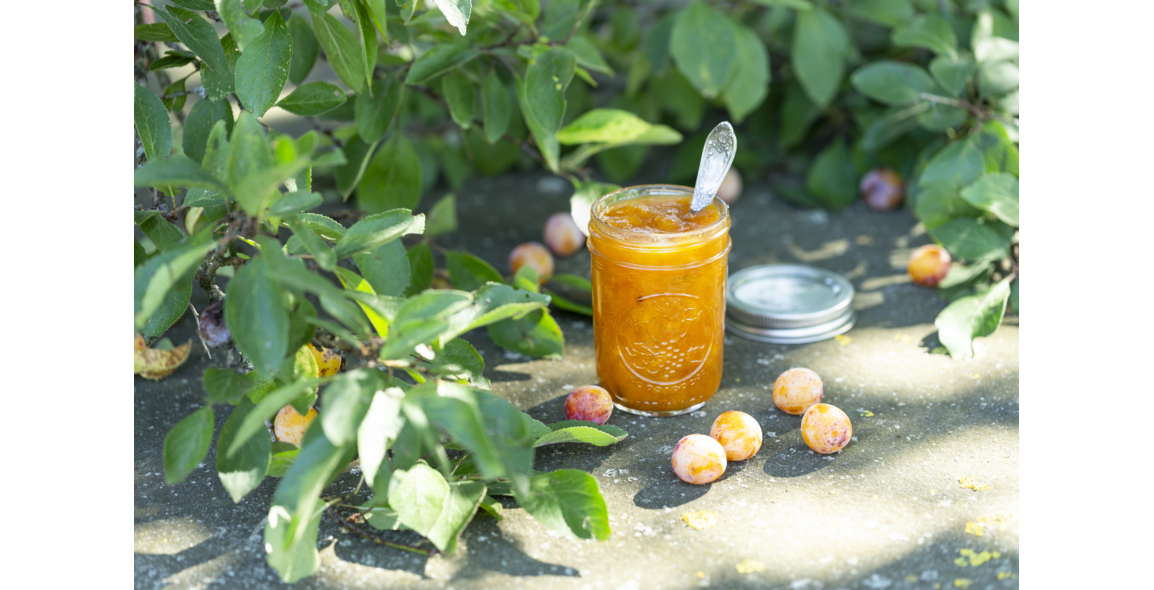 Mirabellen-Marmelade mit Bourbon Vanille