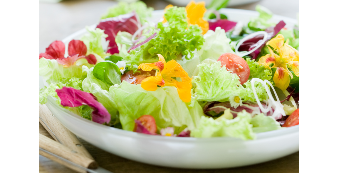 Bunter Salat mit Kürbiskernöl-Dressing