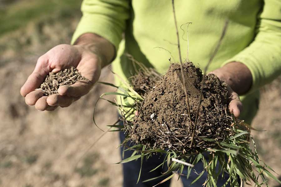 Experienced agricultural specialsts train the farmers and inspect the quality of the soil 