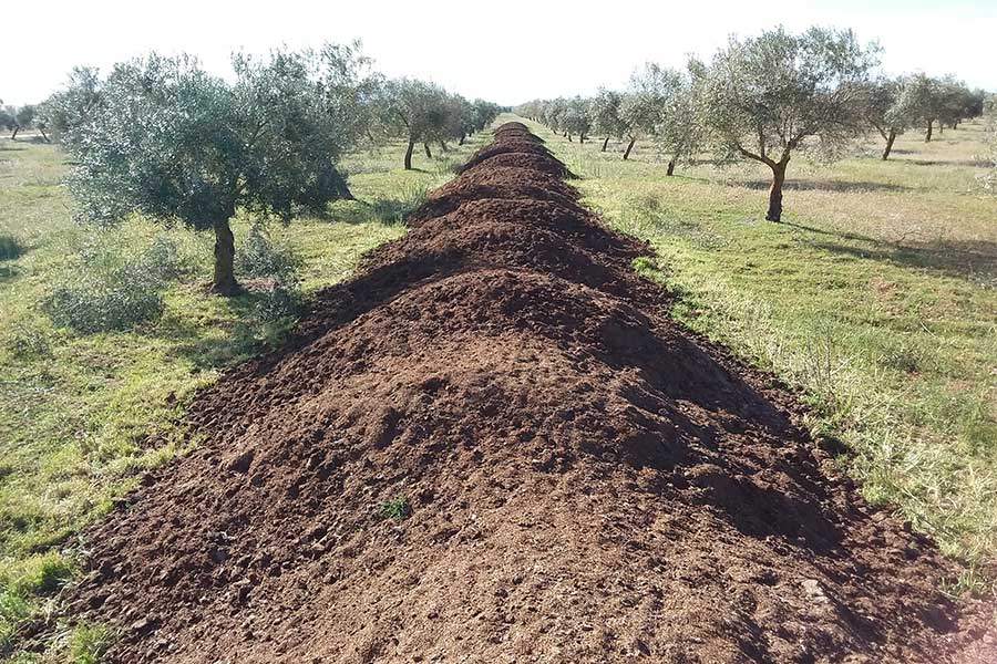 Kompostherstellung mit Mist, Oliventrester und Olivenblättern