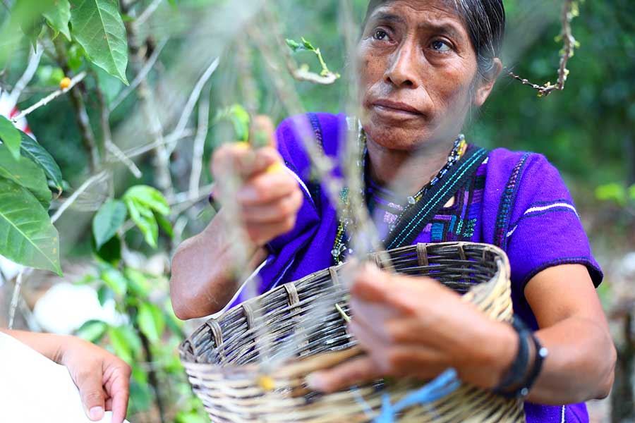 Peasants from indigenous communities joined forces