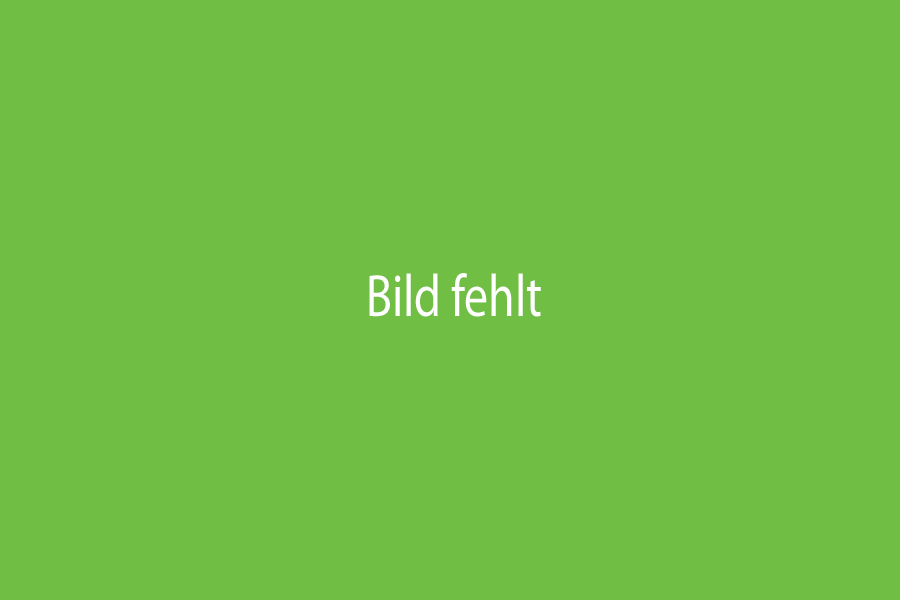 Wahnsinn Fleisch - Warum es eine neue Ernährungs-Kultur braucht Wahnsinn Fleisch - Warum es eine neue Ernährungs-Kultur braucht