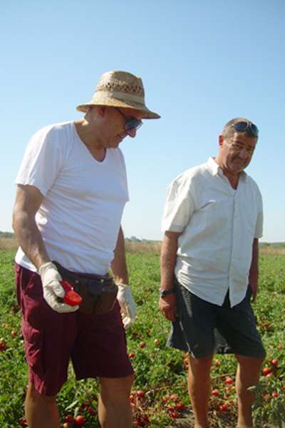 The name giver: breeder Mauro Buonfiglioni (left) with tomato farmer T. Orfanelli in the field