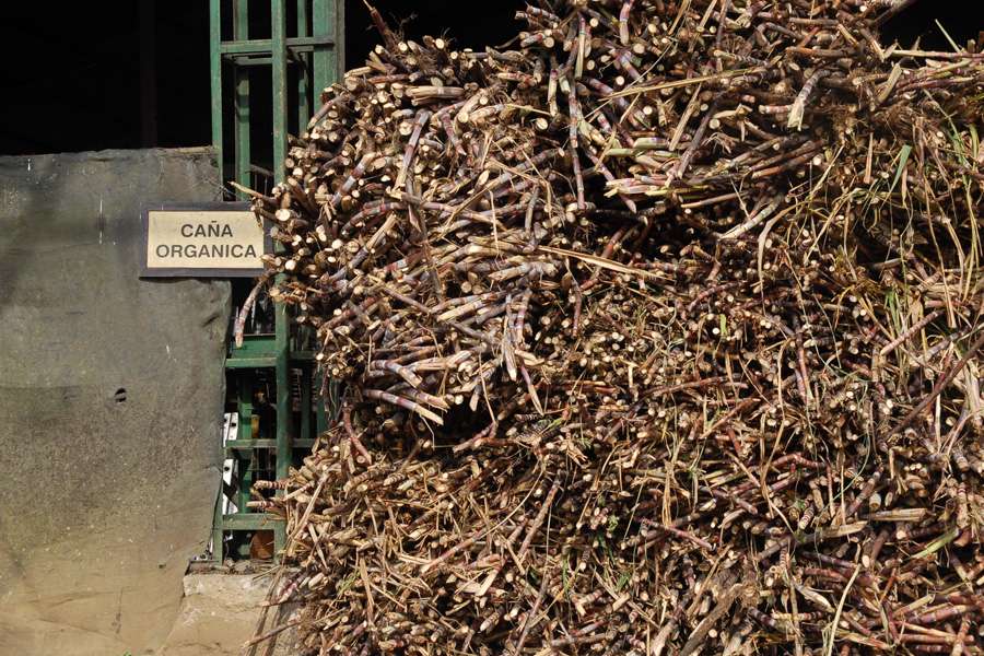 Sugar cane pressing 