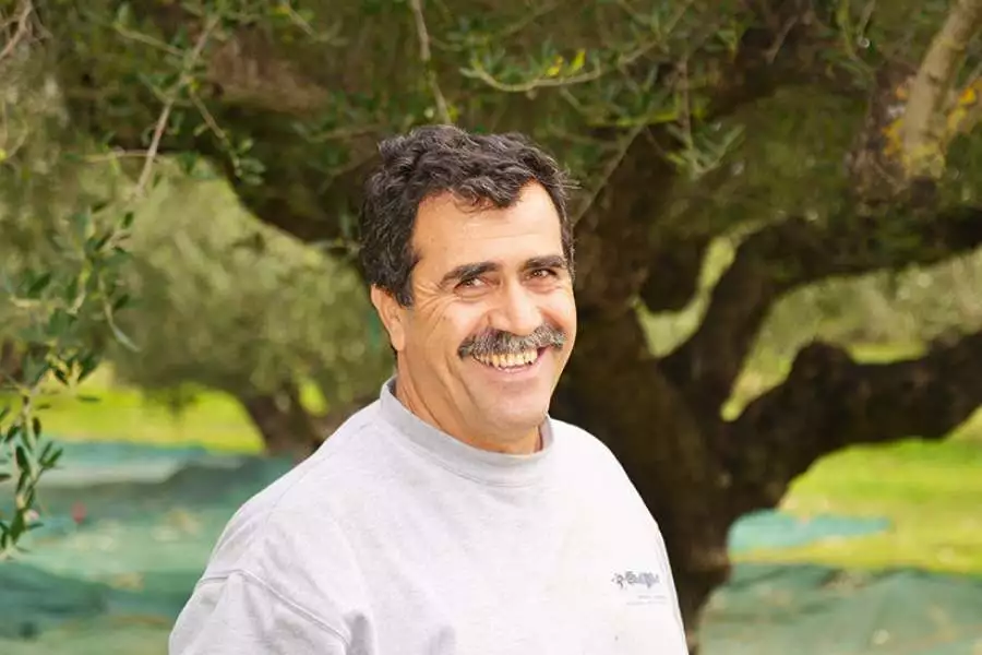 Dimitris Katzaros ist einer der Bauern, die aus Überzeugung Bio-Oliven für Rapunzel anbauen