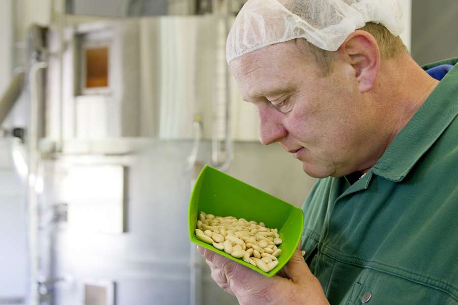 Qualitätskontrolle - herrlich aromatisch riechende Mandeln. Qualitätskontrolle - herrlich aromatisch riechende Mandeln.