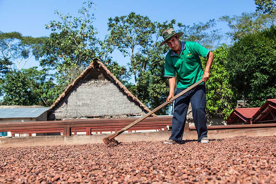 Self-empowerment and development through fair trade – El Ceibo has proven this.