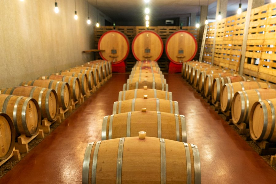 Exquisite wines mature in the wine cellar in wooden barrels