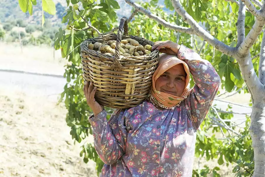 Das Rapunzel Türkei-Anbau-Projekt – ein soziales und nachhaltiges Bio-Pionierprojekt