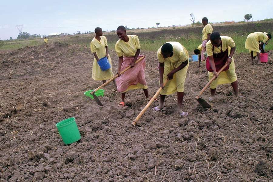 Praktischer Unterricht im Bio-Gartenbau gehört zum Lehrplan der Hekima-Schule Praktischer Unterricht im Bio-Gartenbau gehört zum Lehrplan der Hekima-Schule