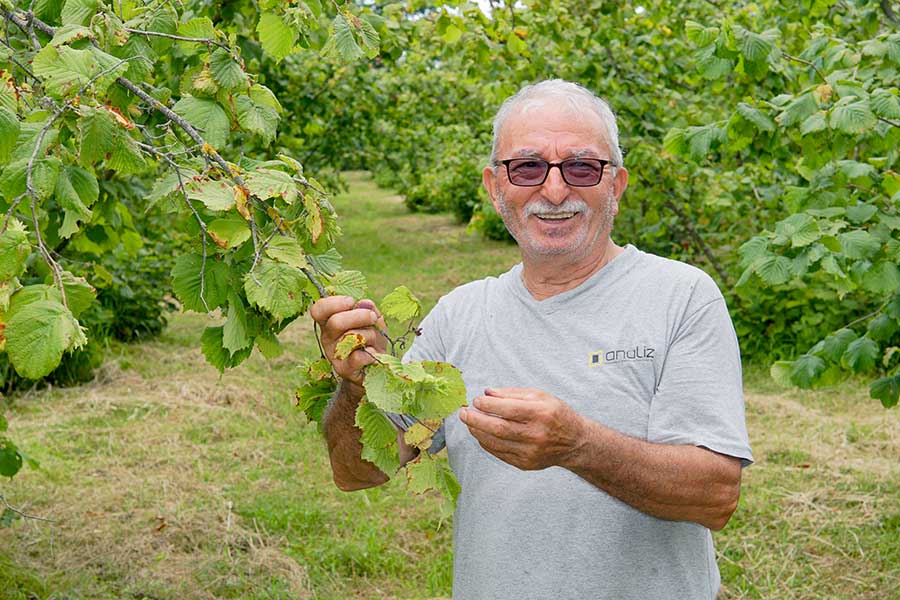 Organic hazelnut farmer Feyzi Güner is happy about his harvest