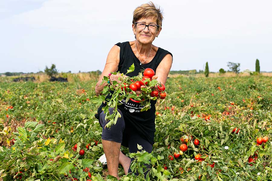 Firmengründerin Renzia auf dem eignen Tomatenfeld   