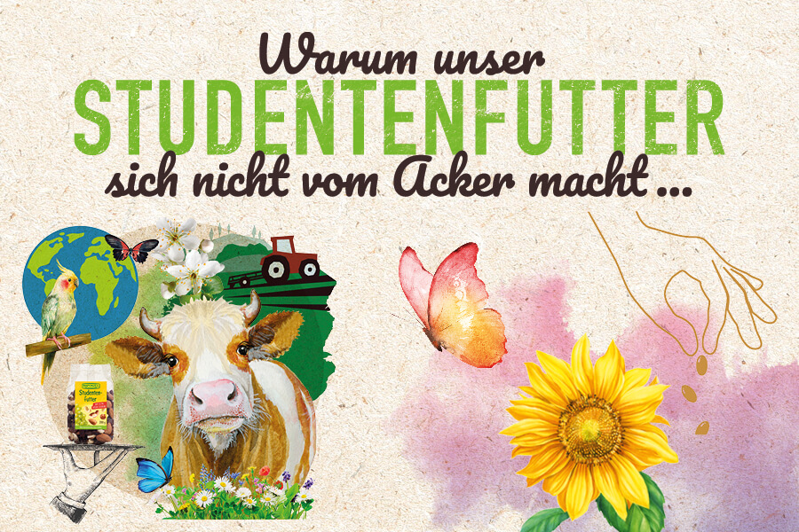 Warum unser Studentenfutter sich nicht vom Acker macht ... Warum unser Studentenfutter sich nicht vom Acker macht ...