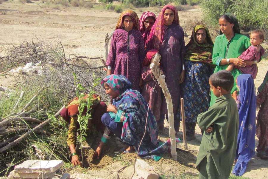 Vegetables in the Desert, Pakistan