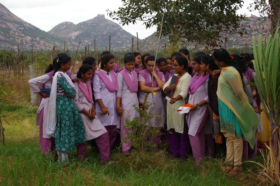 Ökologische Agroforstwirtschaft in Trockengebieten: Workshop mit Schülerinnen in Andhra Pradesh, Indien.