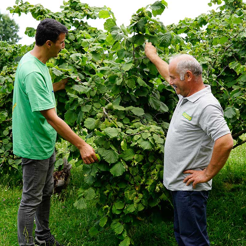 Rapunzel agricultural engineer Ahmet Ağca (l.) counsels organic farmer Cemal Tahmaz
