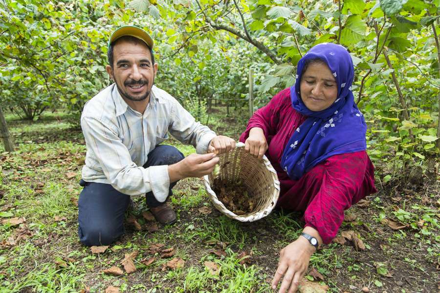 Memet and Zehra have already been working several years as harvest workers with Hassan Özmen