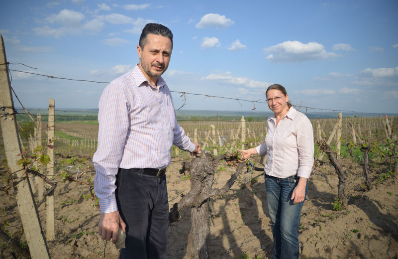 Lucian zeigt Dagmar einen mehrere hundert Jahre alten Weinstock, der immer noch gute Früchte trägt. Lucian zeigt Dagmar einen mehrere hundert Jahre alten Weinstock, der immer noch gute Früchte trägt.