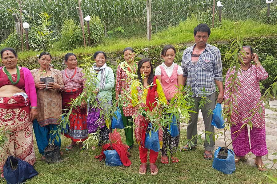 Agroforstwirtschaft – Kaule e.V., Nepal Agroforstwirtschaft – Kaule e.V., Nepal
