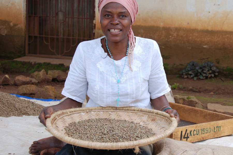 Worker at the KCU coffee Cooperative