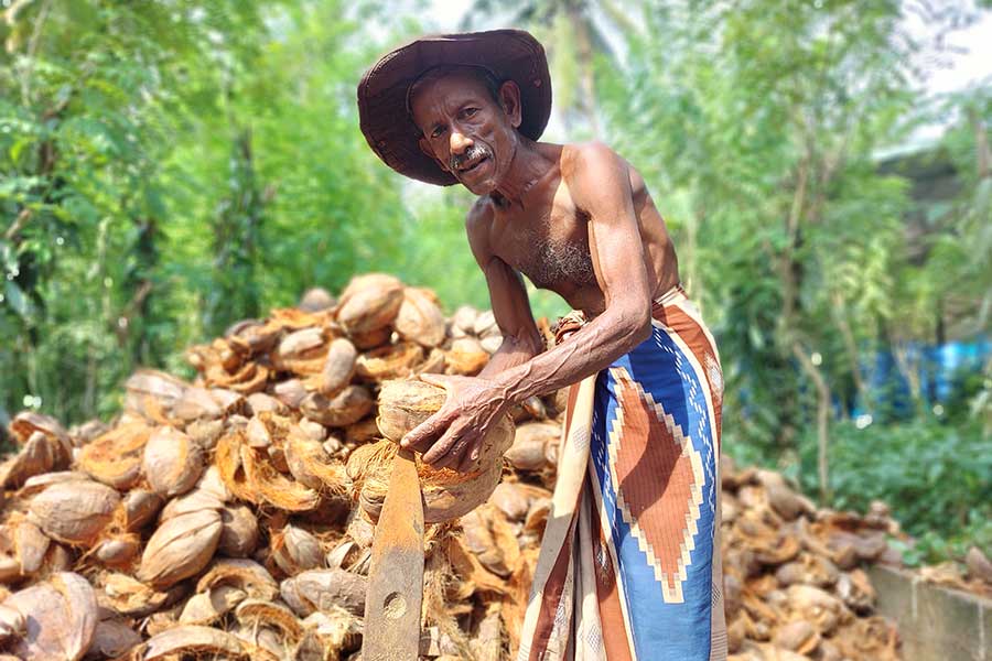 Coconut farmer Ponsage Vimalasena is one of the approximately 30 contractual partners of the family-owned company, EOAS.