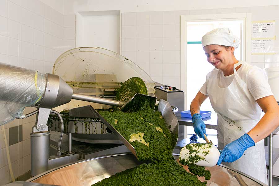 In a cutter, the basil is chopped and mixed with salt and extra virgin olive oil