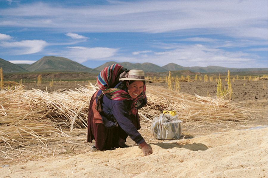 HAND IN HAND-Suppliers-Portrait: Quinoa from Bolivia 