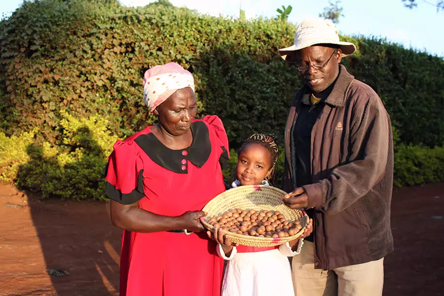 Bäuerin Esther Njoki (l.) und ihre Familie zeigen stolz einen Korb ihrer Macadamia-Ernte.