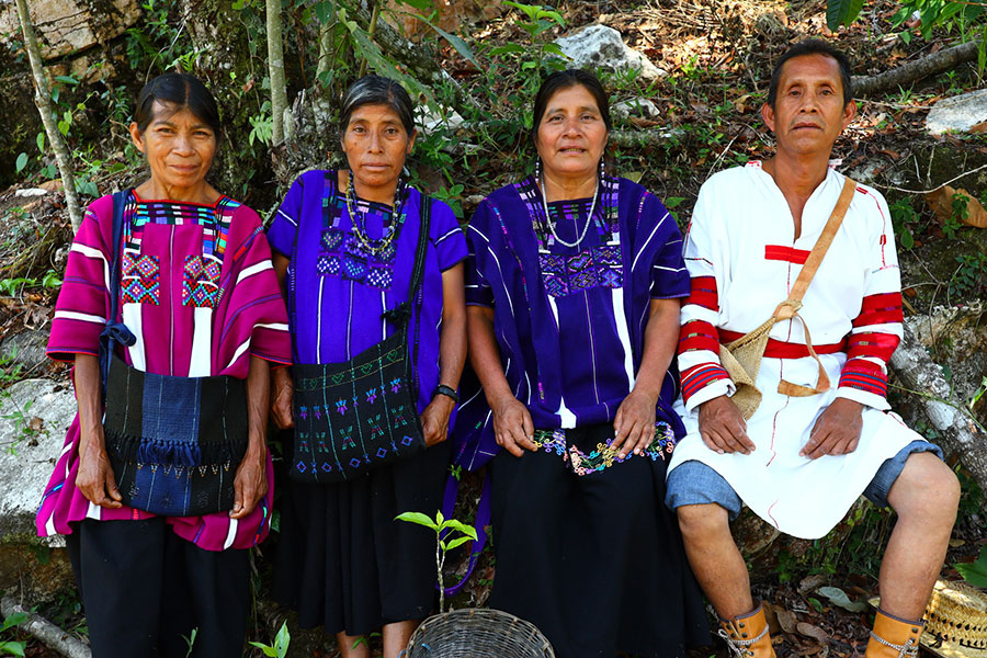 Fair gehandelter Bio-Arabica-Kaffee der Kooperative Unión de la Selva aus Mexico Fair gehandelter Bio-Arabica-Kaffee der Kooperative Unión de la Selva aus Mexico