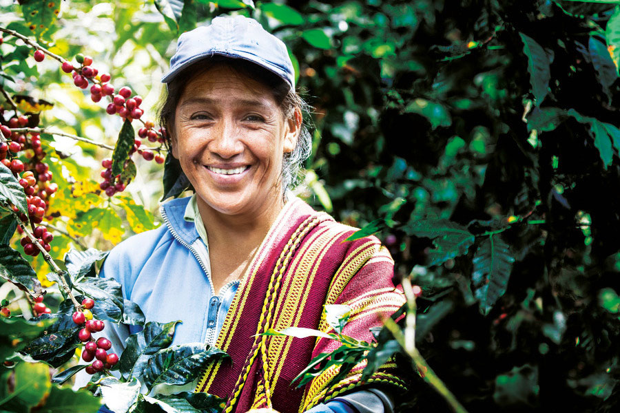 Fairer HAND IN HAND Heldenkaffee und Kakao aus Peru