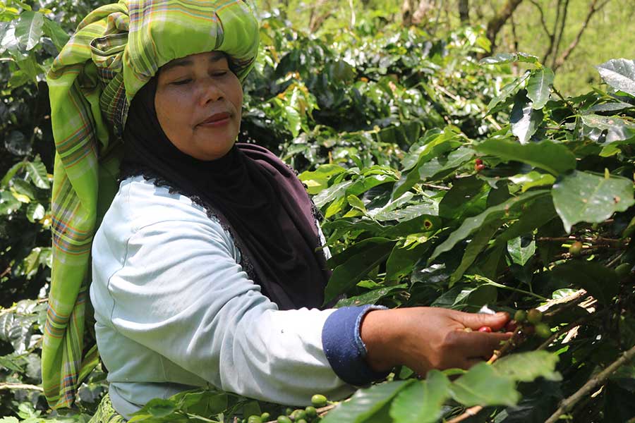 Fair traded HAND IN HAND Herocoffee from Sumatra